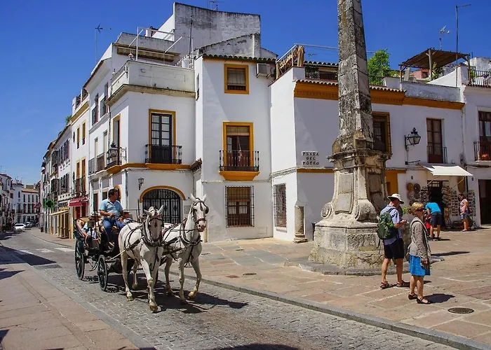 San Pedro Homestay *