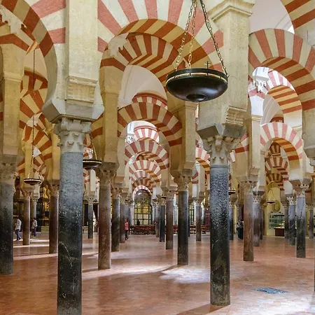 San Pedro Alloggio in famiglia